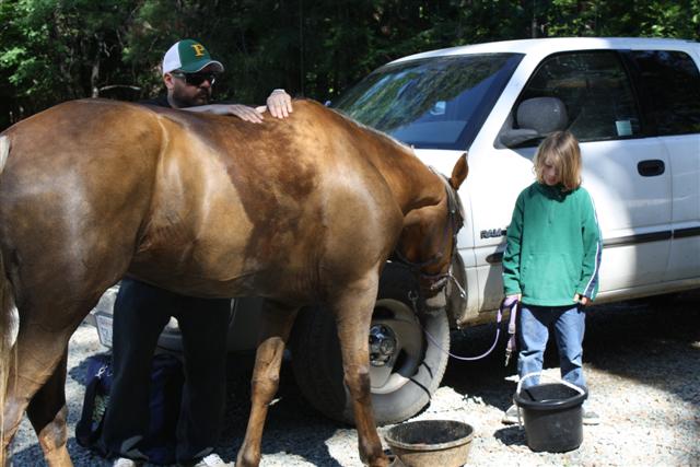 endurance-riding