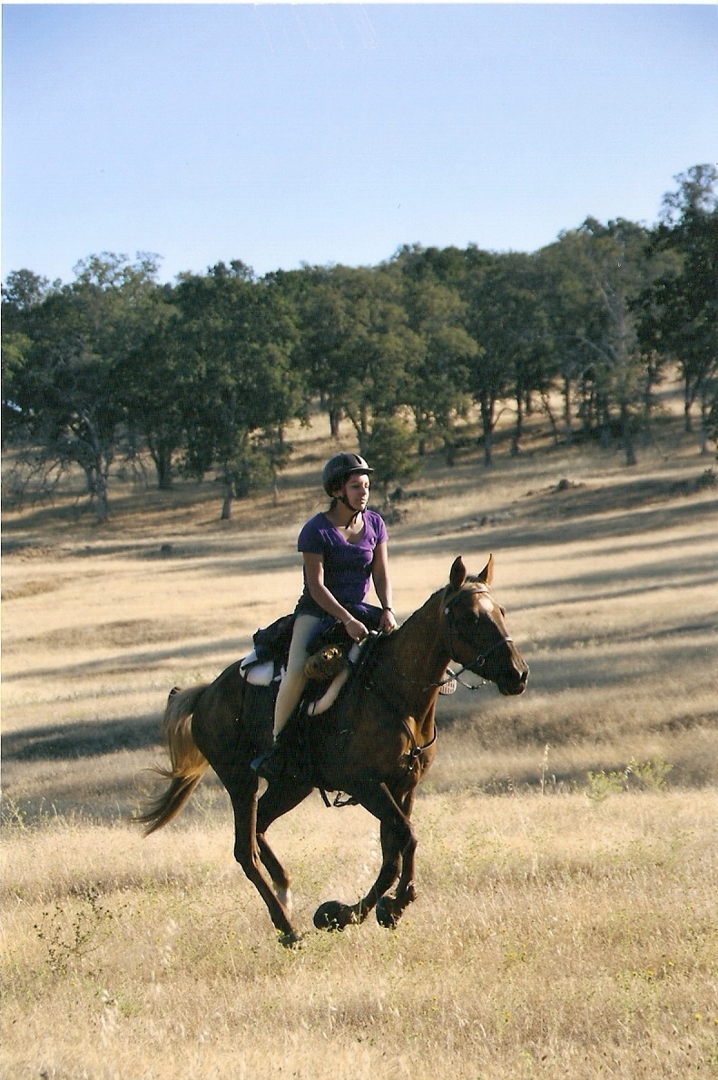 endurance-riding