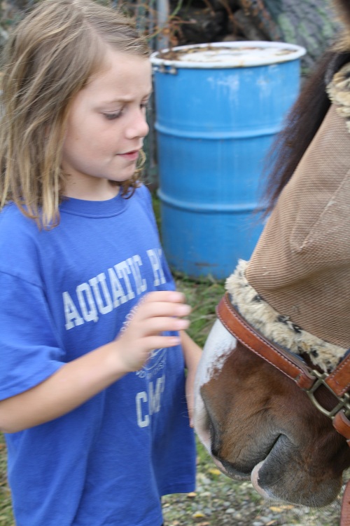 endurance riding