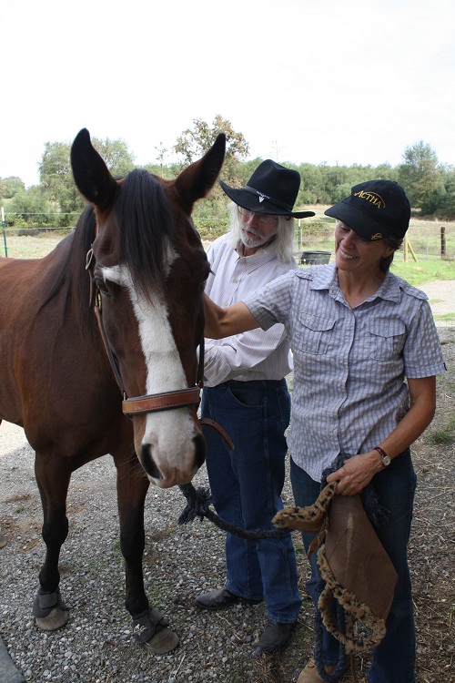 endurance riding
