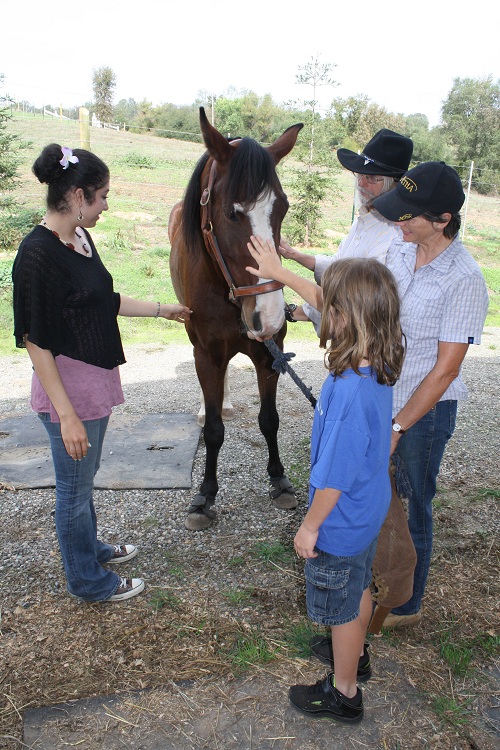 endurance riding