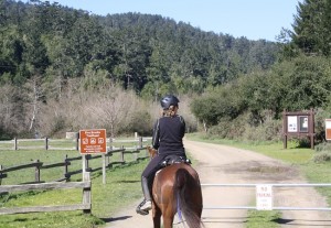 Endurance Riding