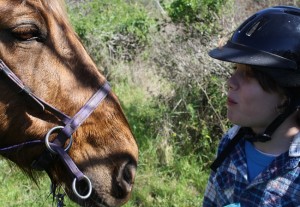 Endurance Riding