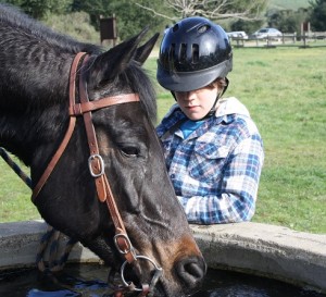 Endurance Riding