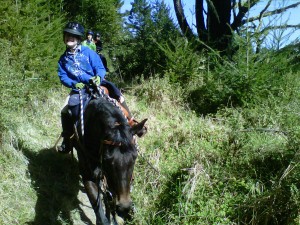 Endurance Riding