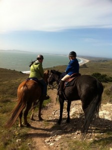 Endurance Riding