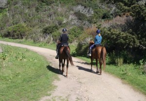 Endurance Riding