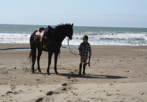 Endurance Riding
