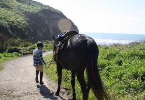 Endurance Riding