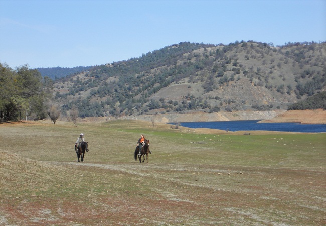 endurance-riding
