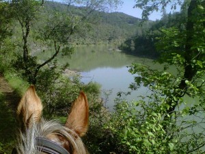 Endurance Riding
