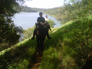 Endurance Riding