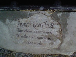 Endurance Riding