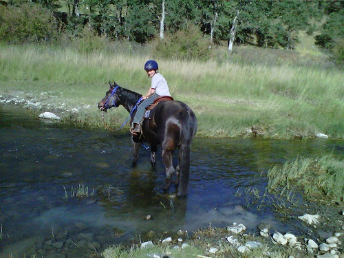 Endurance Riding
