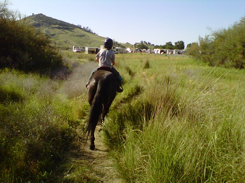 Endurance Riding