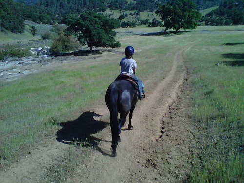 Endurance Riding