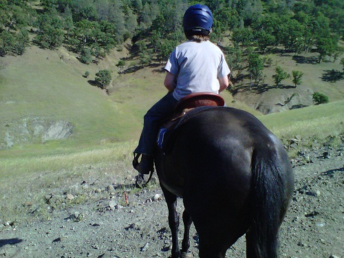 Endurance Riding