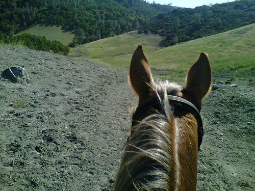 Endurance Riding