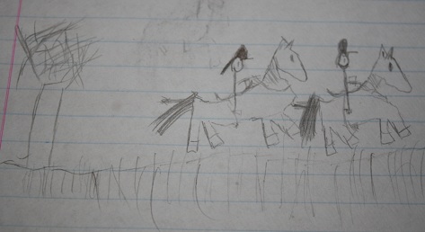 Endurance Riding