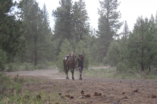 endurance-riding