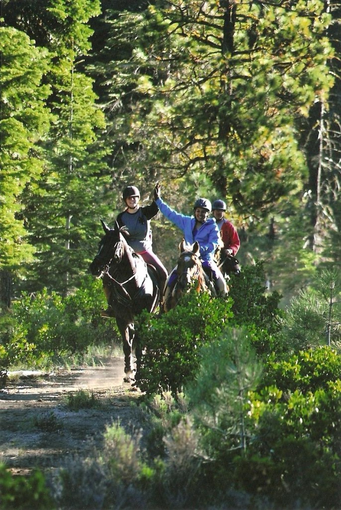 endurance-riding