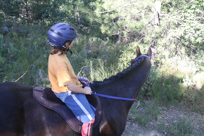 endurance-riding