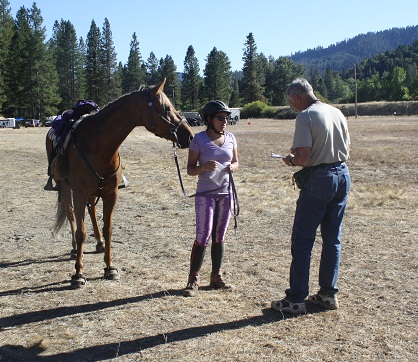 endurance riding endurance riding