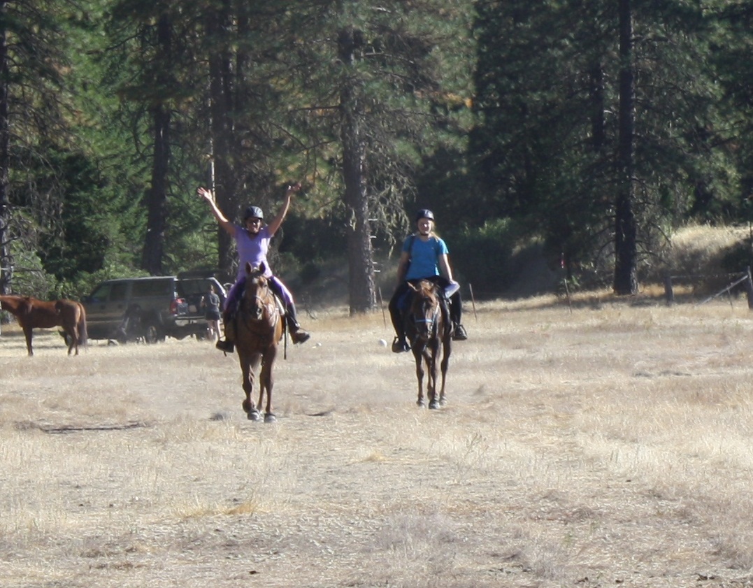 endurance riding endurance riding