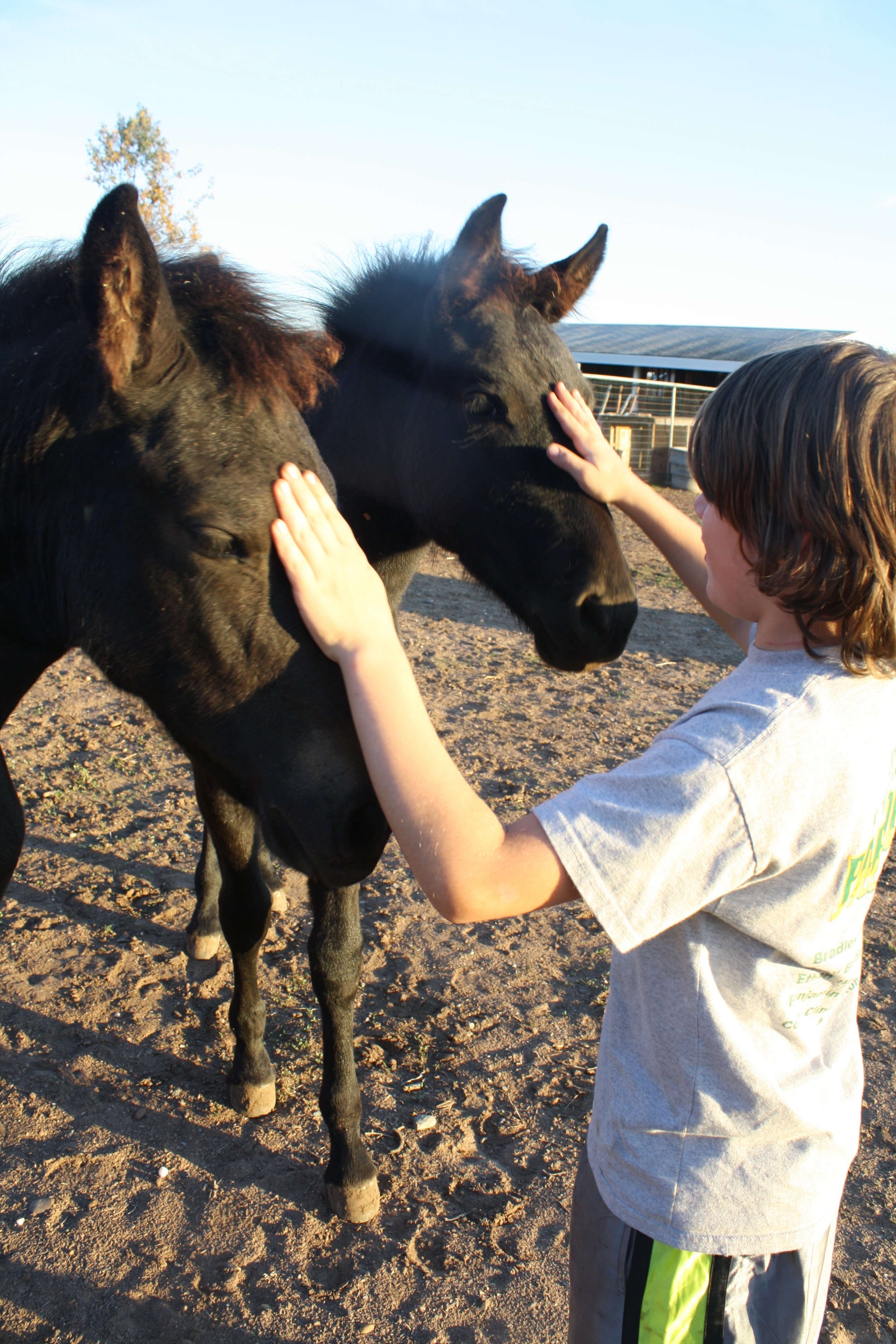 endurance riding
