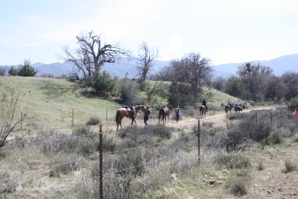 endurance riding
