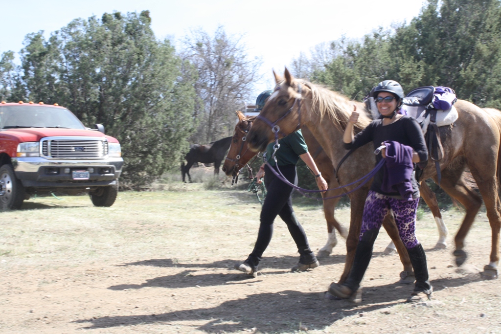 endurance riding