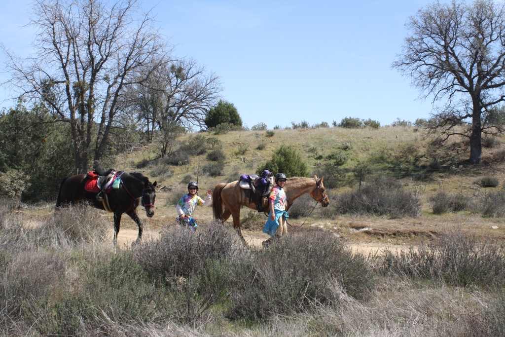 endurance riding