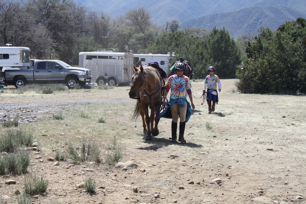 endurance riding