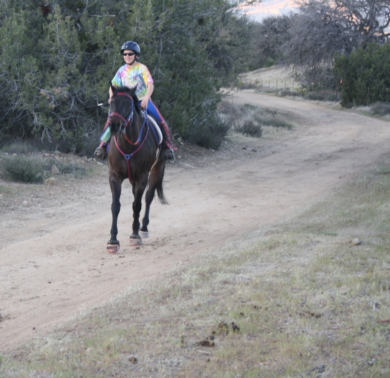 endurance riding