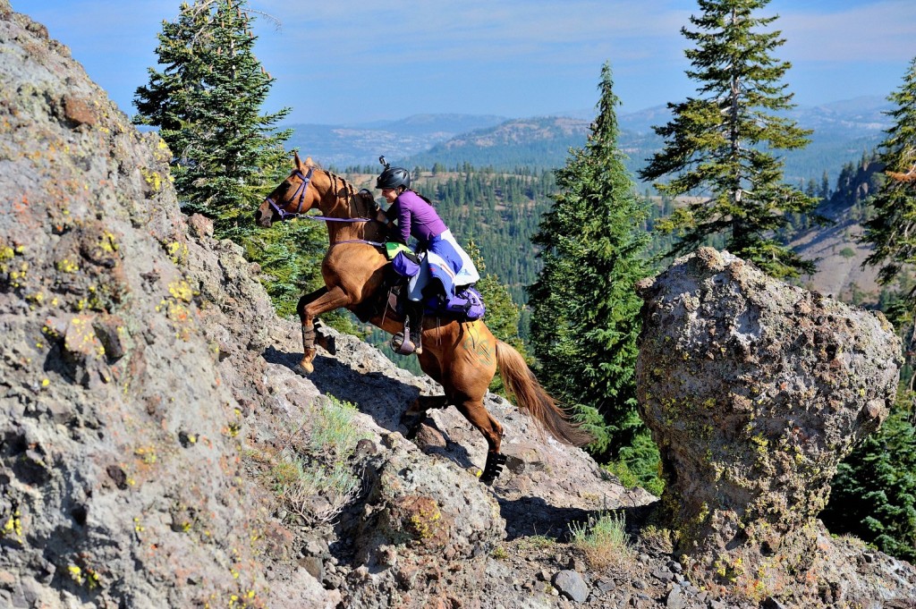 Cougar Rock 2
